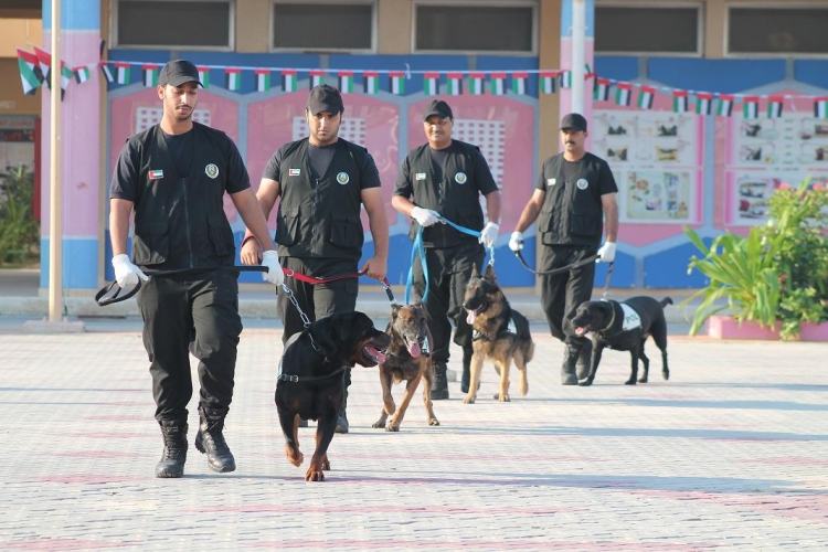 فرع التفتيش الأمني k9 بشرطة عجمان يشارك مدارس الإمارة فرحتهم باليوم الوطني 42 للدولــة