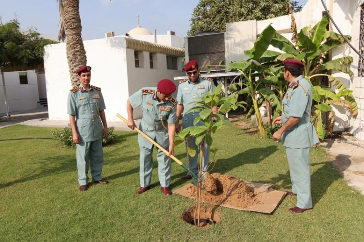 شرطة عجمان تشارك في زراعة شجرة الاتحاد